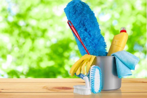 Professional oven cleaning service for homes in Acton