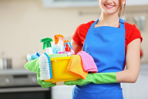 Regular cleaning service for Acton homes and businesses
