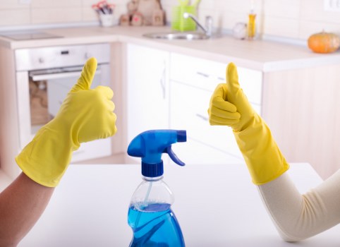 Professional upholstery stain removal for a sofa
