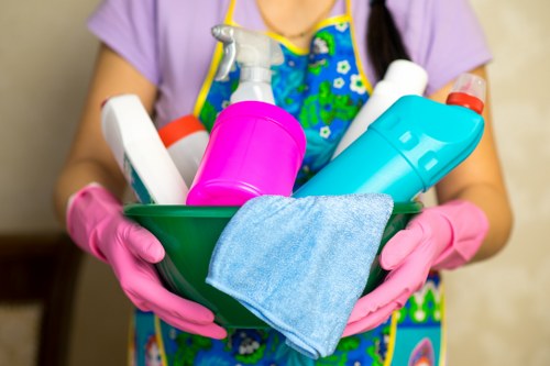 Professional rug cleaning for Acton homes and apartments