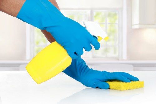 Pricing overview for Acton Cleaner with transparent quote details