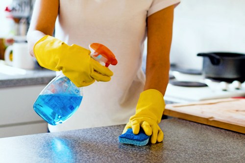 Professional pet stain and odour removal service for Acton carpets
