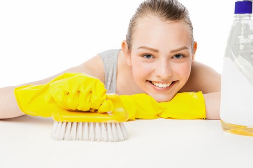 Local cleaning team carrying out move in cleaning in Acton apartment