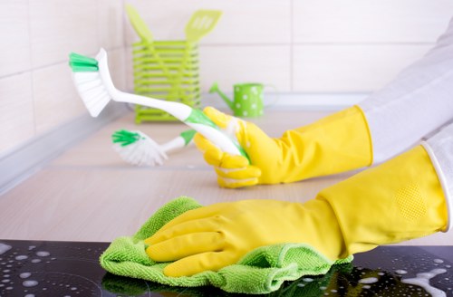 Cleaner handling service terms and access arrangements at a property