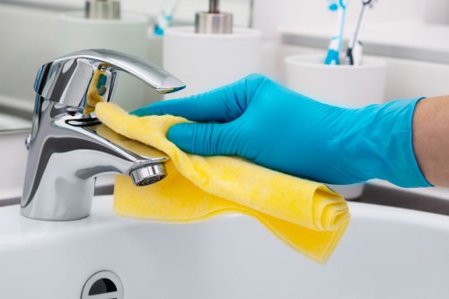 Acton Cleaner payment security section highlighting SSL protection