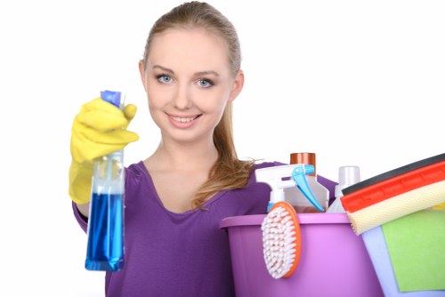 Local mattress cleaning for rental and residential properties